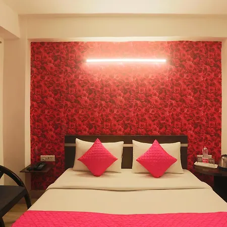 Hotel Mayank Plaza-Near Igi Airport Terminal-3